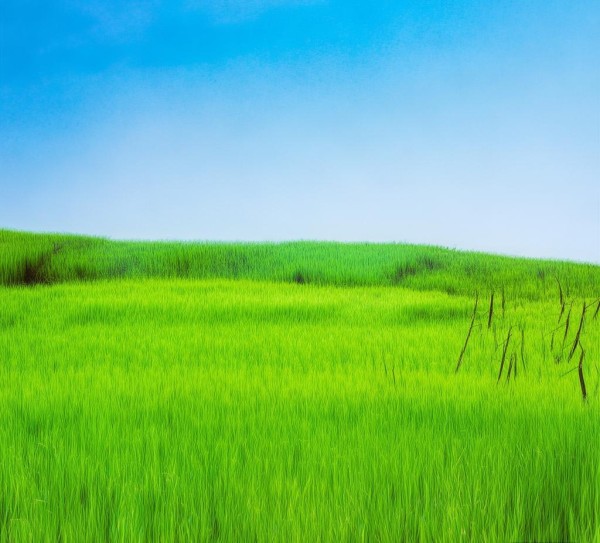 粤辉农业产品,助力农业振兴 粤辉农业产品,助力农业振兴